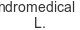andromedical-s-l