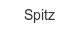 spitz