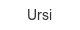ursi