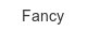 fancy