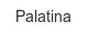 palatina
