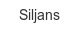 siljans