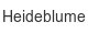 heideblume