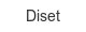 diset