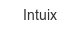 intuix