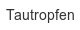 tautropfen