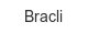 bracli