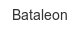 bataleon