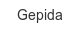 gepida