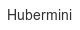hubermini