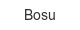 bosu