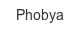 phobya