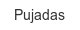 pujadas
