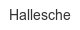 Hallesche hallesche
