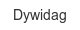 dywidag