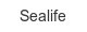 sealife