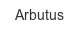 arbutus