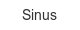 sinus
