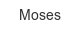 Moses moses