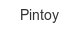 pintoy
