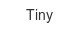 tiny