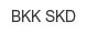 bkk-skd
