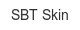 sbt-skin