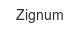 zignum