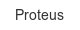 proteus