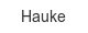 hauke