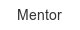mentor