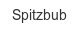 spitzbub