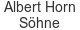 albert-horn-soehne