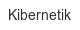 kibernetik