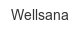 wellsana