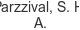 parzzival-s-h-a