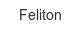 feliton