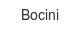 bocini