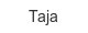taja