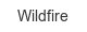 wildfire