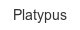 platypus