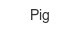 pig