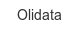 olidata
