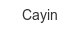 cayin