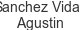 sanchez-vidal-agustin
