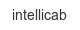 intellicab