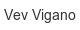 vev-vigano