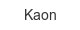 kaon