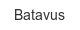 batavus