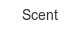 scent